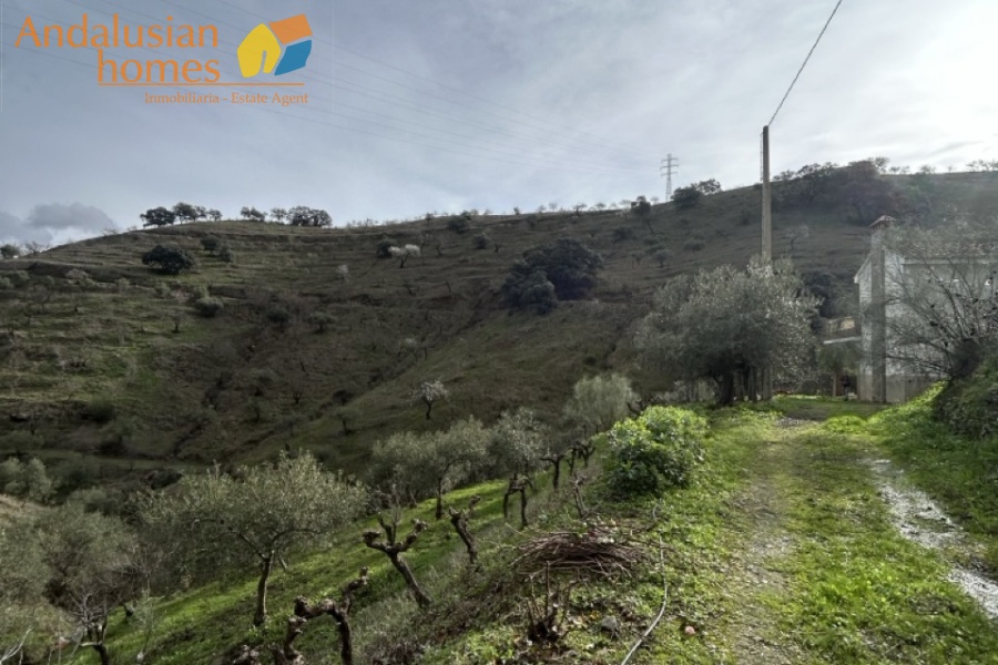 self-sufficient estate, Andalusian property, Torcal mountain views, large finca for sale, organic farm, olive trees, vineyards, fruit trees, country house, rural property Spain, two-story house, private estate, peaceful property, farm with wells

finca autosuficiente, propiedad en Andalucía, vistas sierra del Torcal, finca grande en venta, agricultura ecológica, olivos, viñas, frutales, casa rural, finca rústica España, casa de dos plantas, finca privada, propiedad tranquila, finca con pozos