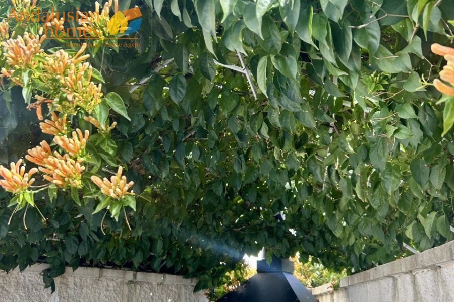 Here are suggested **meta keywords** for the property listing:

Casa en venta Bermejo, propiedad en venta Álora, casa con piscina Álora, chalet en Bermejo, vivienda familiar Málaga, casa con garaje y piscina, propiedad con potencial alquiler Álora, casa tradicional andaluza, inmueble cerca de El Chorro, casa con terraza y vistas al campo, propiedad en Valle del Guadalhorce, inversión inmobiliaria Málaga, casa con apartamento independiente potencial, vivienda con patio y barbacoa, casa cerca de servicios y restaurantes, property for sale Bermejo, house for sale Álora Spain, family home with pool Spain
