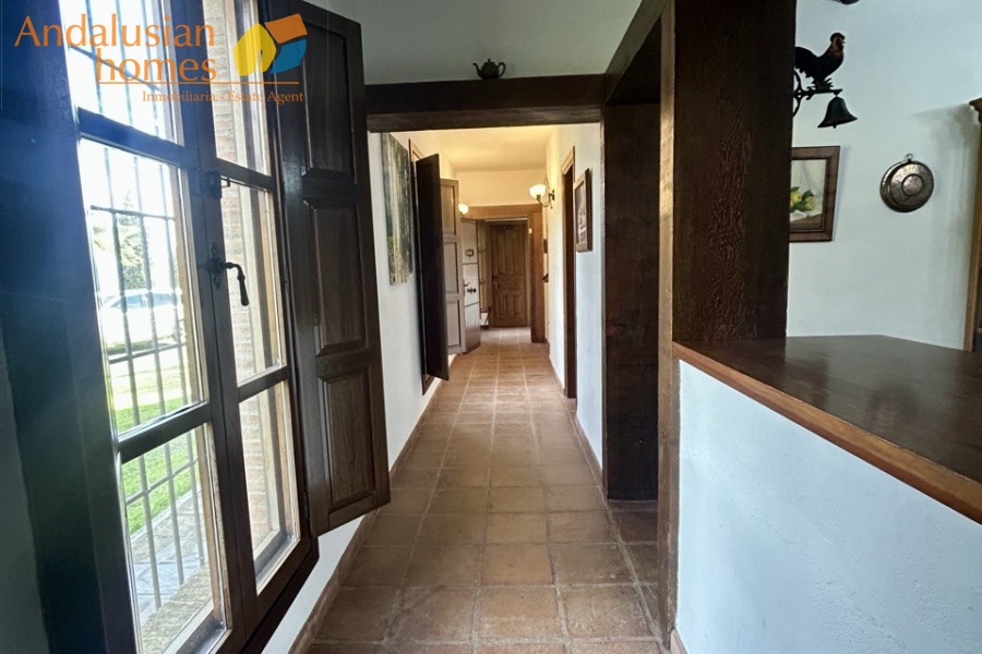 finca en venta Álora, casa rural Málaga, propiedad con olivos, finca con 60.000m2, casa con piscina Málaga, casa con apartamento independiente, casa de invitados, finca con 7 dormitorios, propiedad campo Andalucía, acceso A357 Málaga
