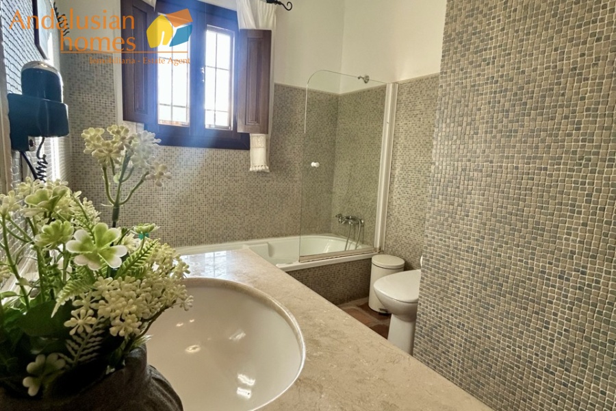 finca en venta Álora, casa rural Málaga, propiedad con olivos, finca con 60.000m2, casa con piscina Málaga, casa con apartamento independiente, casa de invitados, finca con 7 dormitorios, propiedad campo Andalucía, acceso A357 Málaga