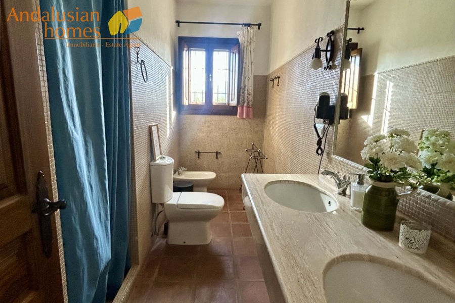 finca en venta Álora, casa rural Málaga, propiedad con olivos, finca con 60.000m2, casa con piscina Málaga, casa con apartamento independiente, casa de invitados, finca con 7 dormitorios, propiedad campo Andalucía, acceso A357 Málaga