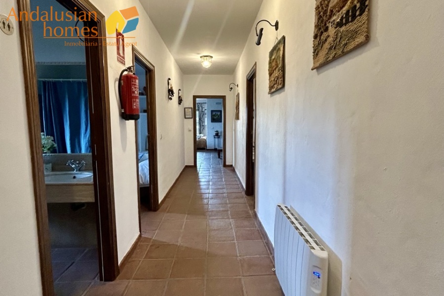 finca en venta Álora, casa rural Málaga, propiedad con olivos, finca con 60.000m2, casa con piscina Málaga, casa con apartamento independiente, casa de invitados, finca con 7 dormitorios, propiedad campo Andalucía, acceso A357 Málaga