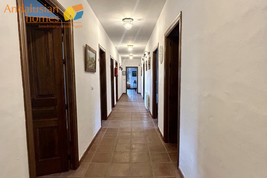 finca en venta Álora, casa rural Málaga, propiedad con olivos, finca con 60.000m2, casa con piscina Málaga, casa con apartamento independiente, casa de invitados, finca con 7 dormitorios, propiedad campo Andalucía, acceso A357 Málaga
