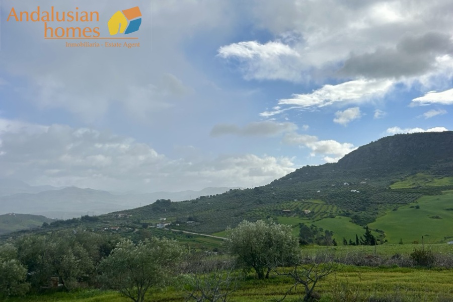 finca en venta Álora, casa rural Málaga, propiedad con olivos, finca con 60.000m2, casa con piscina Málaga, casa con apartamento independiente, casa de invitados, finca con 7 dormitorios, propiedad campo Andalucía, acceso A357 Málaga