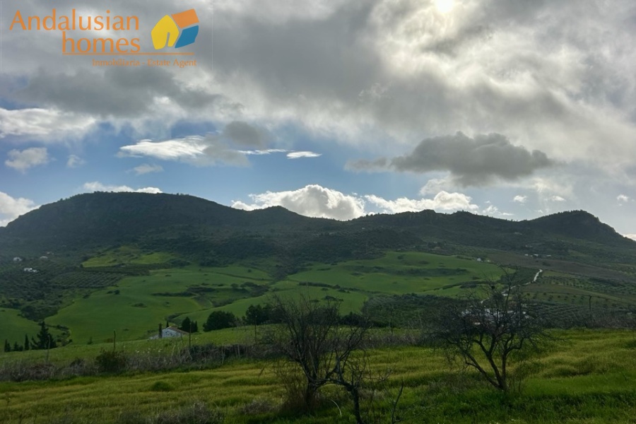 finca en venta Álora, casa rural Málaga, propiedad con olivos, finca con 60.000m2, casa con piscina Málaga, casa con apartamento independiente, casa de invitados, finca con 7 dormitorios, propiedad campo Andalucía, acceso A357 Málaga