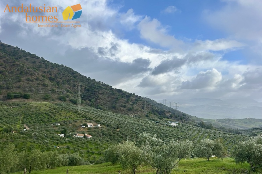 finca en venta Álora, casa rural Málaga, propiedad con olivos, finca con 60.000m2, casa con piscina Málaga, casa con apartamento independiente, casa de invitados, finca con 7 dormitorios, propiedad campo Andalucía, acceso A357 Málaga