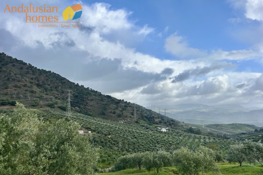 finca en venta Álora, casa rural Málaga, propiedad con olivos, finca con 60.000m2, casa con piscina Málaga, casa con apartamento independiente, casa de invitados, finca con 7 dormitorios, propiedad campo Andalucía, acceso A357 Málaga
