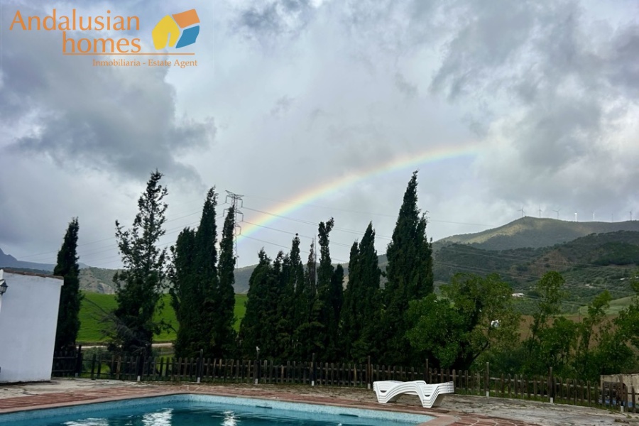 finca en venta Álora, casa rural Málaga, propiedad con olivos, finca con 60.000m2, casa con piscina Málaga, casa con apartamento independiente, casa de invitados, finca con 7 dormitorios, propiedad campo Andalucía, acceso A357 Málaga