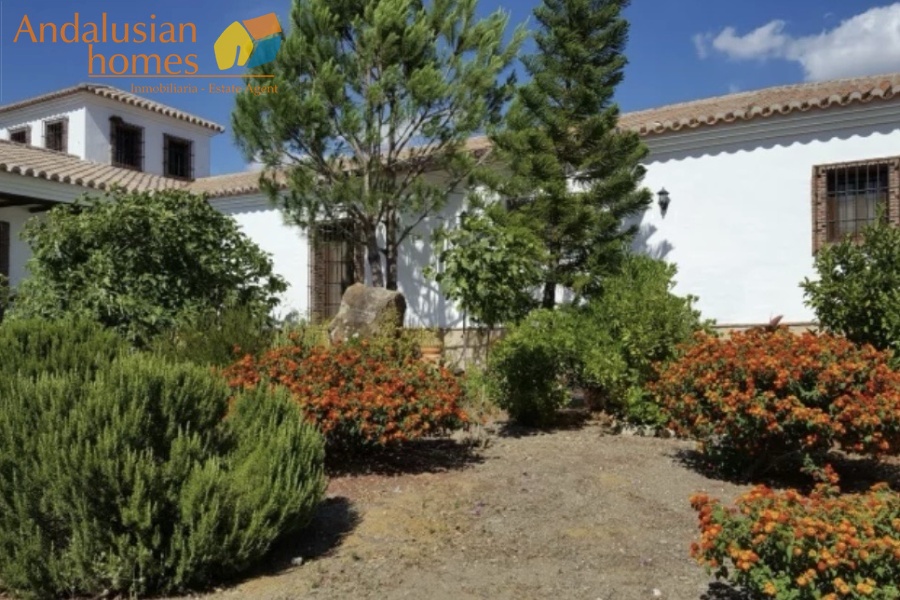 finca en venta Álora, casa rural Málaga, propiedad con olivos, finca con 60.000m2, casa con piscina Málaga, casa con apartamento independiente, casa de invitados, finca con 7 dormitorios, propiedad campo Andalucía, acceso A357 Málaga