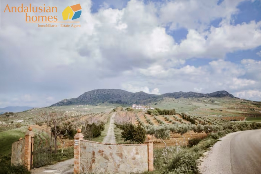 finca en venta Álora, casa rural Málaga, propiedad con olivos, finca con 60.000m2, casa con piscina Málaga, casa con apartamento independiente, casa de invitados, finca con 7 dormitorios, propiedad campo Andalucía, acceso A357 Málaga