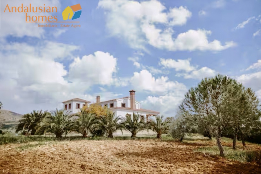 finca en venta Álora, casa rural Málaga, propiedad con olivos, finca con 60.000m2, casa con piscina Málaga, casa con apartamento independiente, casa de invitados, finca con 7 dormitorios, propiedad campo Andalucía, acceso A357 Málaga