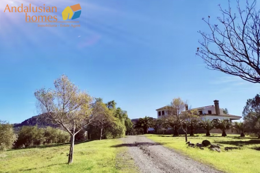 finca en venta Álora, casa rural Málaga, propiedad con olivos, finca con 60.000m2, casa con piscina Málaga, casa con apartamento independiente, casa de invitados, finca con 7 dormitorios, propiedad campo Andalucía, acceso A357 Málaga