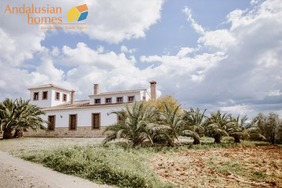 finca en venta Álora, casa rural Málaga, propiedad con olivos, finca con 60.000m2, casa con piscina Málaga, casa con apartamento independiente, casa de invitados, finca con 7 dormitorios, propiedad campo Andalucía, acceso A357 Málaga
