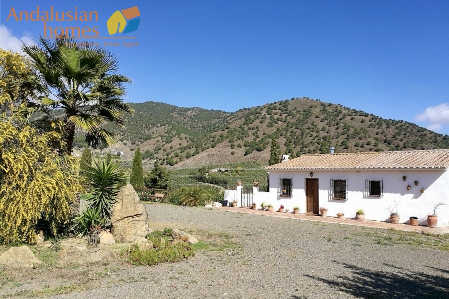 finca en venta Álora, casa rural Málaga, propiedad con olivos, finca con 60.000m2, casa con piscina Málaga, casa con apartamento independiente, casa de invitados, finca con 7 dormitorios, propiedad campo Andalucía, acceso A357 Málaga