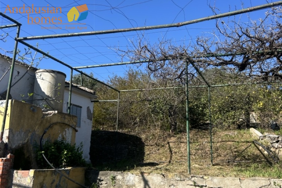 Álora property, country house Spain, rural property Málaga, house with land Álora, renovation project Spain, finca Málaga, traditional Spanish house, property investment Spain, countryside home, house with fruit trees, real estate Álora, Andalusia property