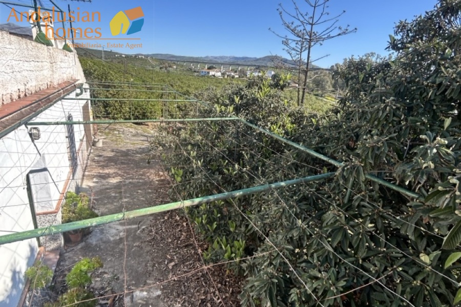 Álora property, country house Spain, rural property Málaga, house with land Álora, renovation project Spain, finca Málaga, traditional Spanish house, property investment Spain, countryside home, house with fruit trees, real estate Álora, Andalusia property