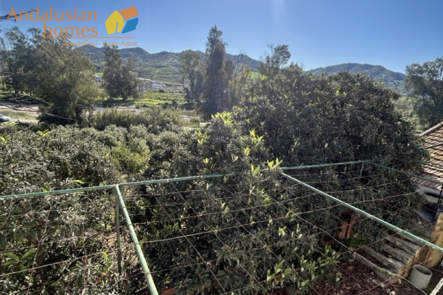 Álora property, country house Spain, rural property Málaga, house with land Álora, renovation project Spain, finca Málaga, traditional Spanish house, property investment Spain, countryside home, house with fruit trees, real estate Álora, Andalusia property