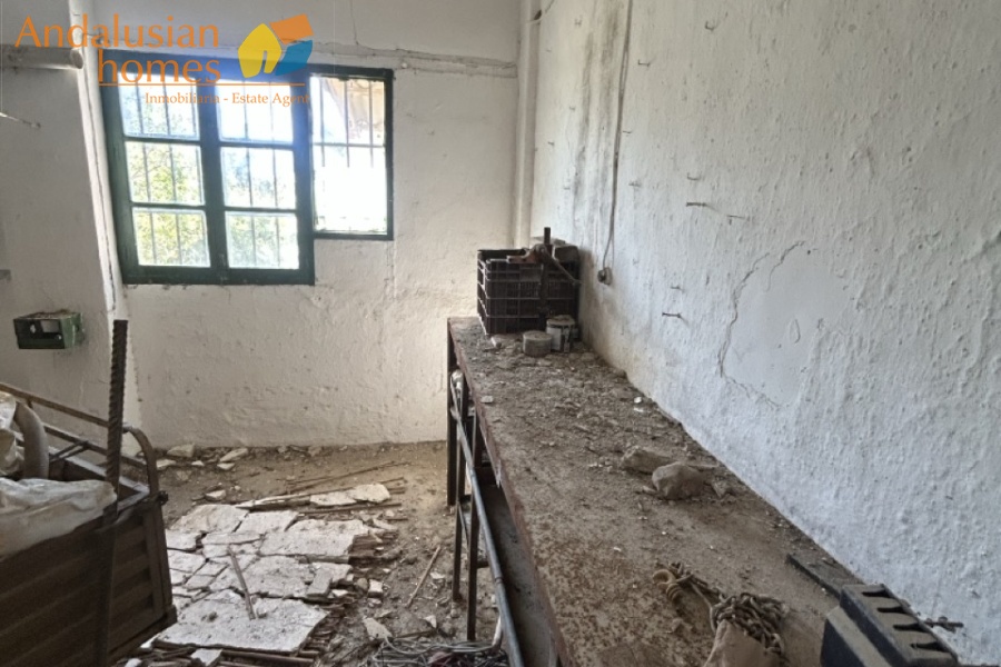 Álora property, country house Spain, rural property Málaga, house with land Álora, renovation project Spain, finca Málaga, traditional Spanish house, property investment Spain, countryside home, house with fruit trees, real estate Álora, Andalusia property