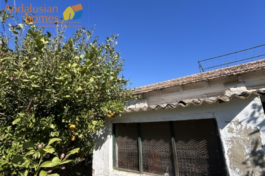 Álora property, country house Spain, rural property Málaga, house with land Álora, renovation project Spain, finca Málaga, traditional Spanish house, property investment Spain, countryside home, house with fruit trees, real estate Álora, Andalusia property