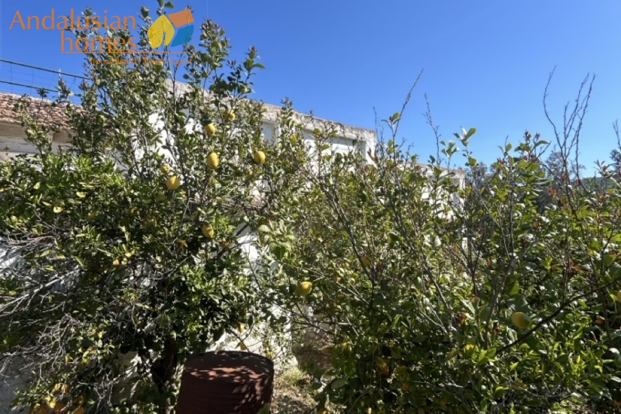 Álora property, country house Spain, rural property Málaga, house with land Álora, renovation project Spain, finca Málaga, traditional Spanish house, property investment Spain, countryside home, house with fruit trees, real estate Álora, Andalusia property