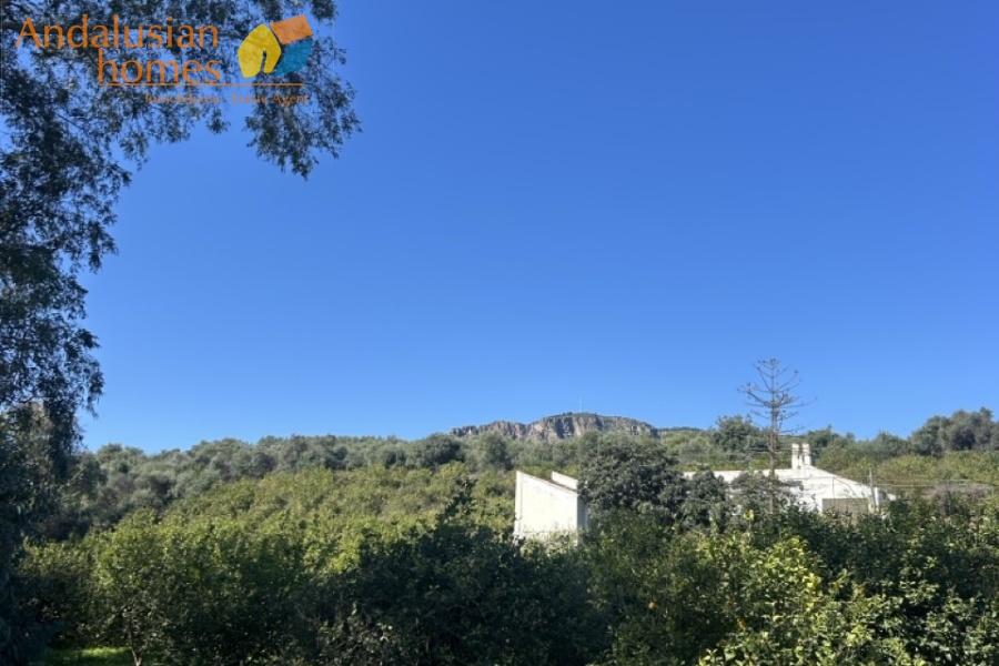 Álora property, country house Spain, rural property Málaga, house with land Álora, renovation project Spain, finca Málaga, traditional Spanish house, property investment Spain, countryside home, house with fruit trees, real estate Álora, Andalusia property
