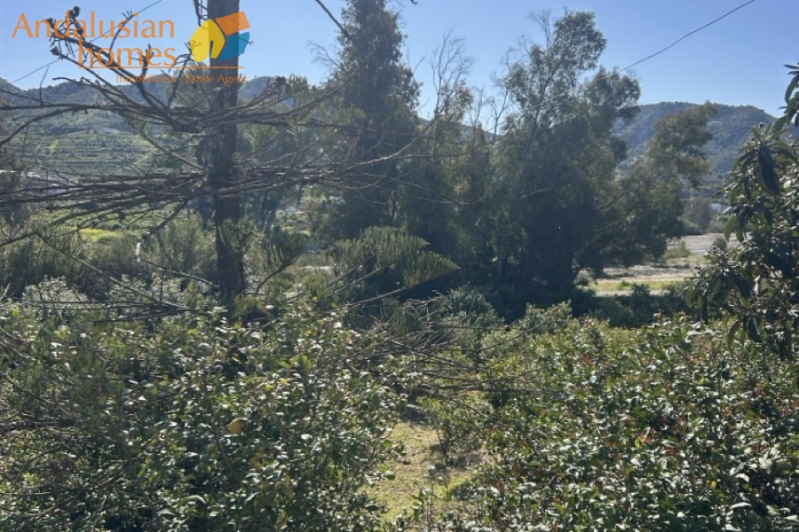 Álora property, country house Spain, rural property Málaga, house with land Álora, renovation project Spain, finca Málaga, traditional Spanish house, property investment Spain, countryside home, house with fruit trees, real estate Álora, Andalusia property