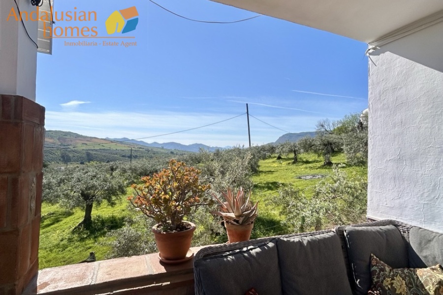 Country home, Álora, Las Mellizas, Málaga countryside, detached villa, olive grove, 4000m2 plot, private pool, panoramic views, terraces, fenced plot, parking, fireplace, ensuite bedroom, outdoor living, rural retreat, train access, investment property, holiday rental, tourism potential, Andalusian property, peaceful location, close to El Chorro, near Málaga coast