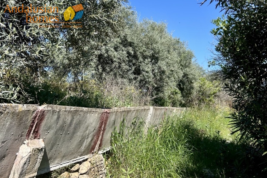 Country home, Álora, Las Mellizas, Málaga countryside, detached villa, olive grove, 4000m2 plot, private pool, panoramic views, terraces, fenced plot, parking, fireplace, ensuite bedroom, outdoor living, rural retreat, train access, investment property, holiday rental, tourism potential, Andalusian property, peaceful location, close to El Chorro, near Málaga coast