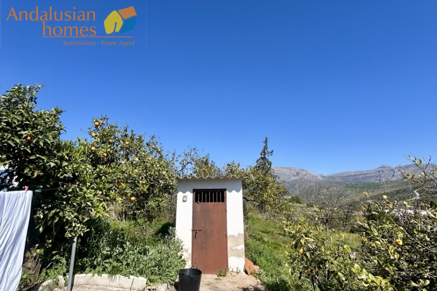 Country home, Álora, Las Mellizas, Málaga countryside, detached villa, olive grove, 4000m2 plot, private pool, panoramic views, terraces, fenced plot, parking, fireplace, ensuite bedroom, outdoor living, rural retreat, train access, investment property, holiday rental, tourism potential, Andalusian property, peaceful location, close to El Chorro, near Málaga coast
