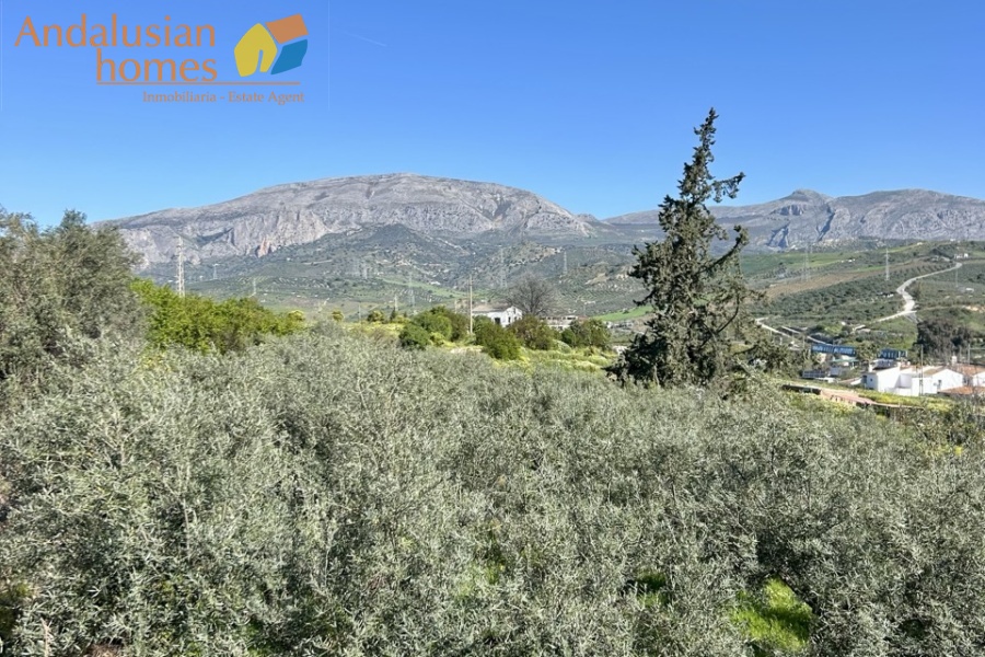 Country home, Álora, Las Mellizas, Málaga countryside, detached villa, olive grove, 4000m2 plot, private pool, panoramic views, terraces, fenced plot, parking, fireplace, ensuite bedroom, outdoor living, rural retreat, train access, investment property, holiday rental, tourism potential, Andalusian property, peaceful location, close to El Chorro, near Málaga coast