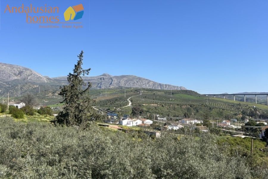 Country home, Álora, Las Mellizas, Málaga countryside, detached villa, olive grove, 4000m2 plot, private pool, panoramic views, terraces, fenced plot, parking, fireplace, ensuite bedroom, outdoor living, rural retreat, train access, investment property, holiday rental, tourism potential, Andalusian property, peaceful location, close to El Chorro, near Málaga coast
