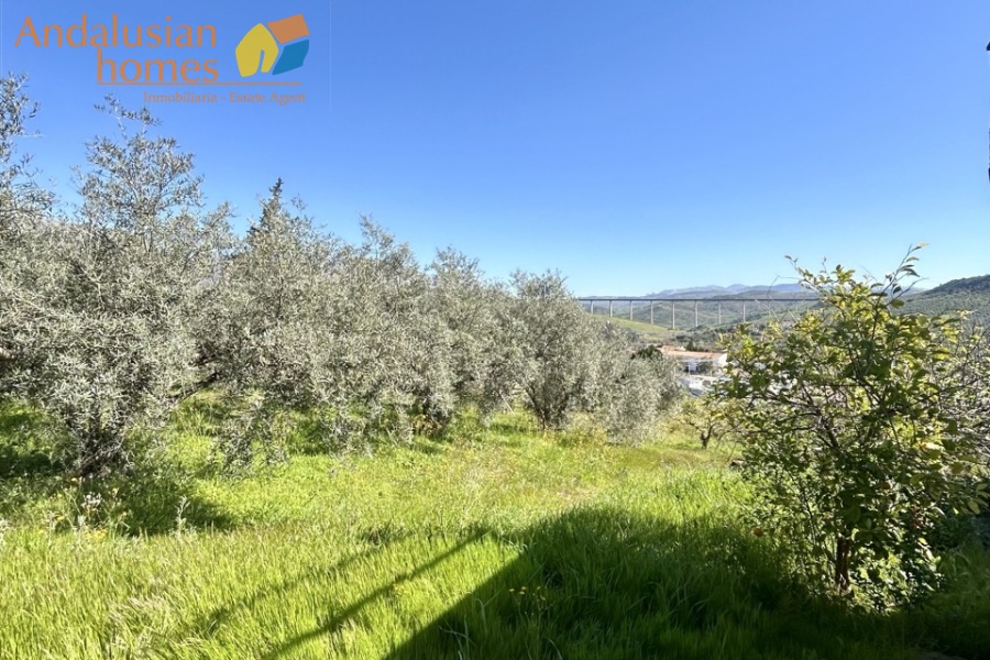 Country home, Álora, Las Mellizas, Málaga countryside, detached villa, olive grove, 4000m2 plot, private pool, panoramic views, terraces, fenced plot, parking, fireplace, ensuite bedroom, outdoor living, rural retreat, train access, investment property, holiday rental, tourism potential, Andalusian property, peaceful location, close to El Chorro, near Málaga coast