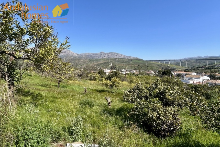 Country home, Álora, Las Mellizas, Málaga countryside, detached villa, olive grove, 4000m2 plot, private pool, panoramic views, terraces, fenced plot, parking, fireplace, ensuite bedroom, outdoor living, rural retreat, train access, investment property, holiday rental, tourism potential, Andalusian property, peaceful location, close to El Chorro, near Málaga coast