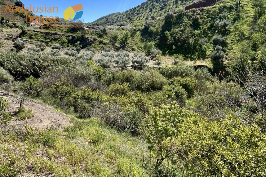 Álora property, country house Álora, house with casita Spain, rural property Málaga, property for sale Álora, Andalusian country home, house with land Spain, investment property Málaga, guest house property Spain, inland Costa del Sol property