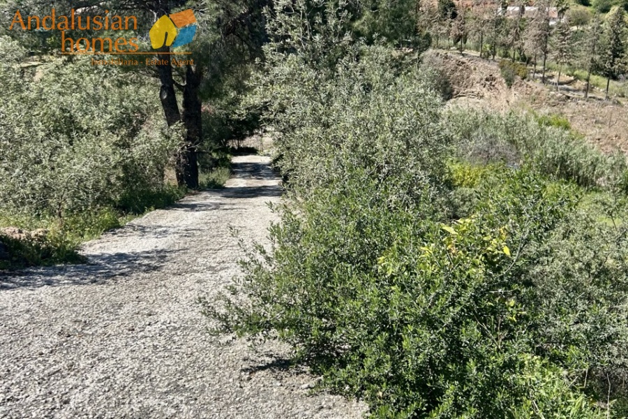 Álora property, country house Álora, house with casita Spain, rural property Málaga, property for sale Álora, Andalusian country home, house with land Spain, investment property Málaga, guest house property Spain, inland Costa del Sol property