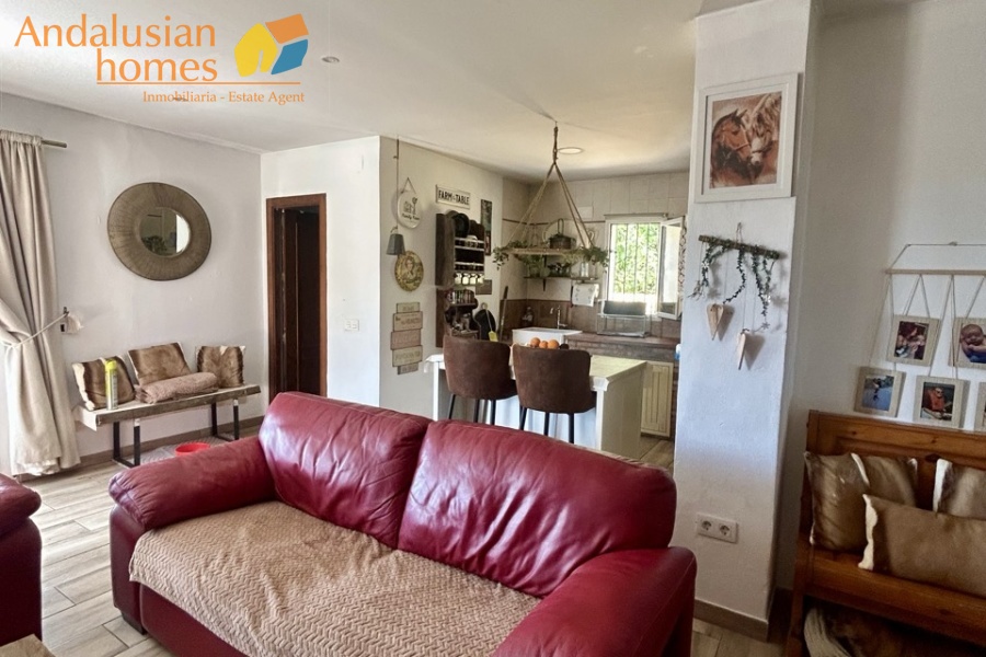 country property Cártama, rural property Málaga, equestrian property Spain, property with stables Málaga, country house for sale Andalusia, finca with guest house Spain, horse property with OCA licence, rural tourism investment Málaga, property near Málaga coast, finca for sale Cártama, Andalusian countryside property, property with land 2500m2, house with paddock Spain, investment property southern Spain
