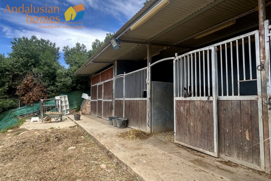 country property Cártama, rural property Málaga, equestrian property Spain, property with stables Málaga, country house for sale Andalusia, finca with guest house Spain, horse property with OCA licence, rural tourism investment Málaga, property near Málaga coast, finca for sale Cártama, Andalusian countryside property, property with land 2500m2, house with paddock Spain, investment property southern Spain
