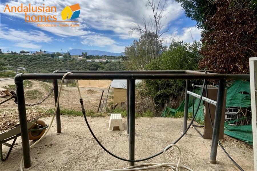 country property Cártama, rural property Málaga, equestrian property Spain, property with stables Málaga, country house for sale Andalusia, finca with guest house Spain, horse property with OCA licence, rural tourism investment Málaga, property near Málaga coast, finca for sale Cártama, Andalusian countryside property, property with land 2500m2, house with paddock Spain, investment property southern Spain
