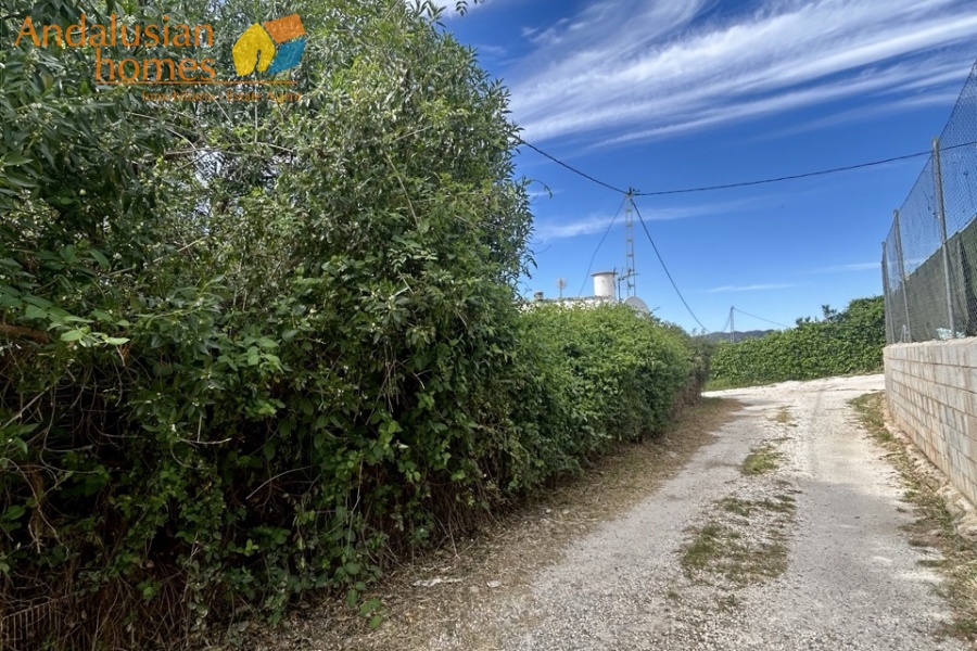 country property Cártama, rural property Málaga, equestrian property Spain, property with stables Málaga, country house for sale Andalusia, finca with guest house Spain, horse property with OCA licence, rural tourism investment Málaga, property near Málaga coast, finca for sale Cártama, Andalusian countryside property, property with land 2500m2, house with paddock Spain, investment property southern Spain

