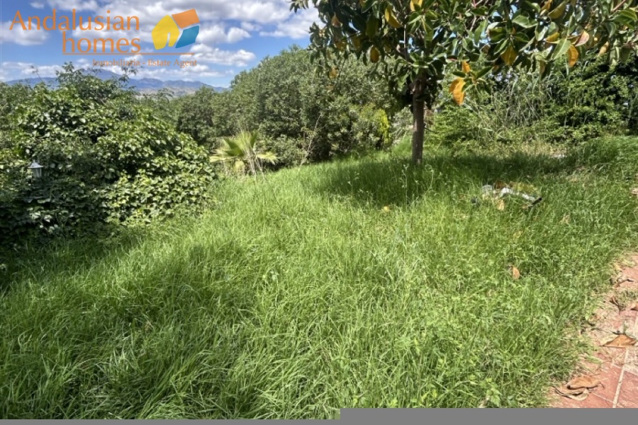 country property Cártama, rural property Málaga, equestrian property Spain, property with stables Málaga, country house for sale Andalusia, finca with guest house Spain, horse property with OCA licence, rural tourism investment Málaga, property near Málaga coast, finca for sale Cártama, Andalusian countryside property, property with land 2500m2, house with paddock Spain, investment property southern Spain

