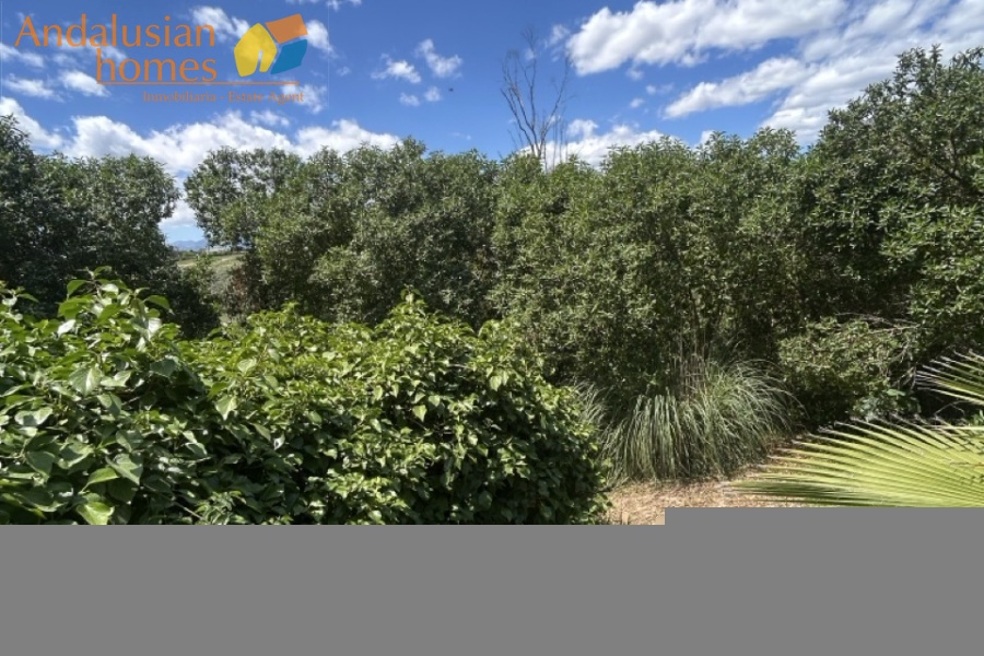 country property Cártama, rural property Málaga, equestrian property Spain, property with stables Málaga, country house for sale Andalusia, finca with guest house Spain, horse property with OCA licence, rural tourism investment Málaga, property near Málaga coast, finca for sale Cártama, Andalusian countryside property, property with land 2500m2, house with paddock Spain, investment property southern Spain
