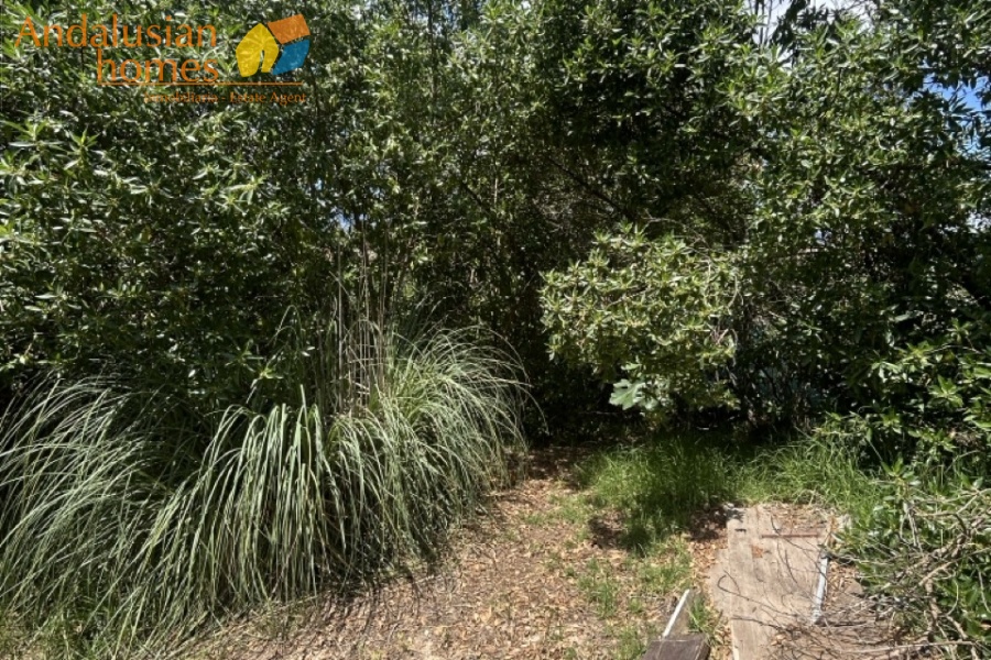 country property Cártama, rural property Málaga, equestrian property Spain, property with stables Málaga, country house for sale Andalusia, finca with guest house Spain, horse property with OCA licence, rural tourism investment Málaga, property near Málaga coast, finca for sale Cártama, Andalusian countryside property, property with land 2500m2, house with paddock Spain, investment property southern Spain
