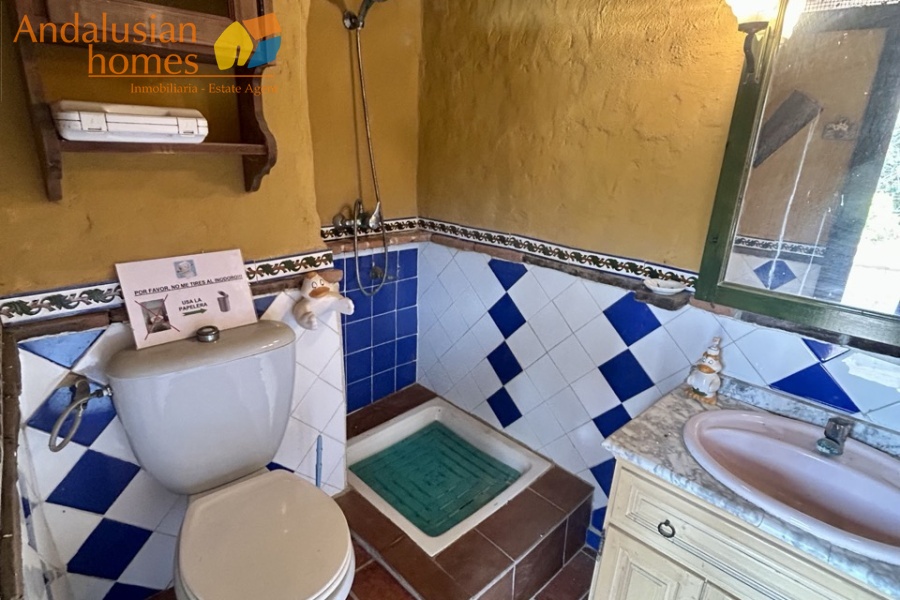 Rural property Álora, country house Pizarra, finca with casitas Spain, rural tourism investment Andalusia, guest house business Spain, property with land Málaga, finca with pool Spain, holiday rental opportunity Andalusia, countryside property for sale Spain, investment property Málaga