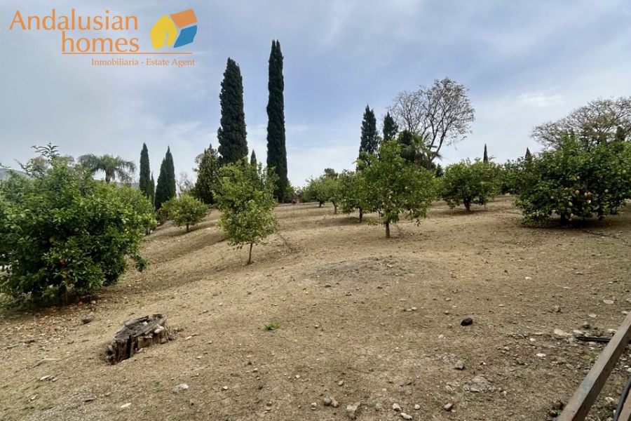Rural property Álora, country house Pizarra, finca with casitas Spain, rural tourism investment Andalusia, guest house business Spain, property with land Málaga, finca with pool Spain, holiday rental opportunity Andalusia, countryside property for sale Spain, investment property Málaga