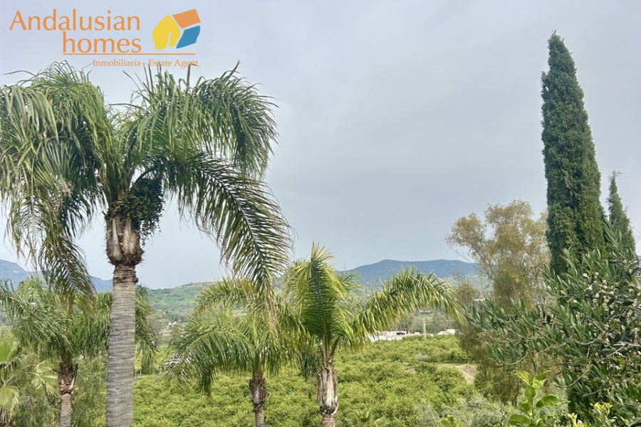 Rural property Álora, country house Pizarra, finca with casitas Spain, rural tourism investment Andalusia, guest house business Spain, property with land Málaga, finca with pool Spain, holiday rental opportunity Andalusia, countryside property for sale Spain, investment property Málaga