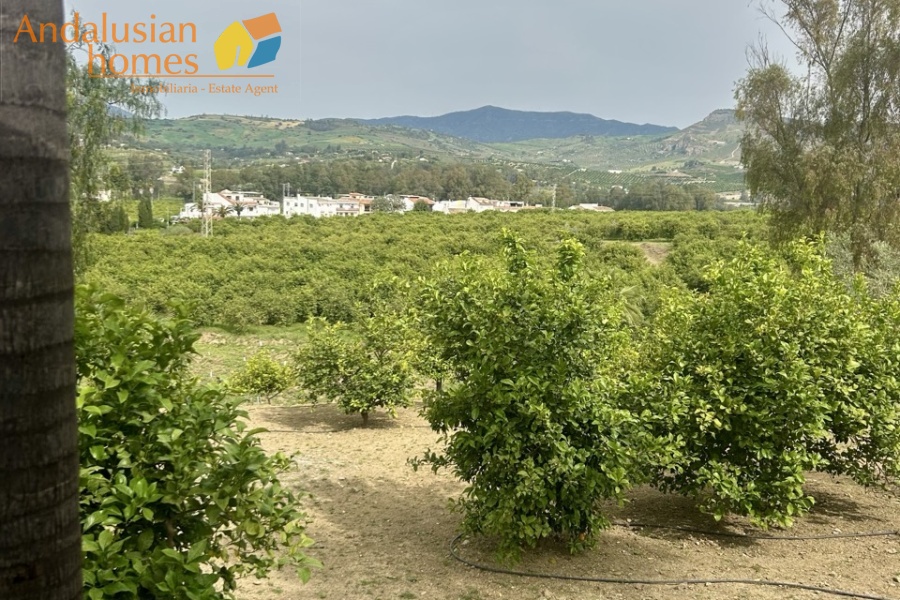 Rural property Álora, country house Pizarra, finca with casitas Spain, rural tourism investment Andalusia, guest house business Spain, property with land Málaga, finca with pool Spain, holiday rental opportunity Andalusia, countryside property for sale Spain, investment property Málaga