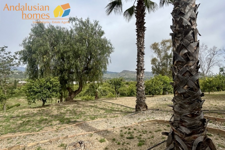 Rural property Álora, country house Pizarra, finca with casitas Spain, rural tourism investment Andalusia, guest house business Spain, property with land Málaga, finca with pool Spain, holiday rental opportunity Andalusia, countryside property for sale Spain, investment property Málaga