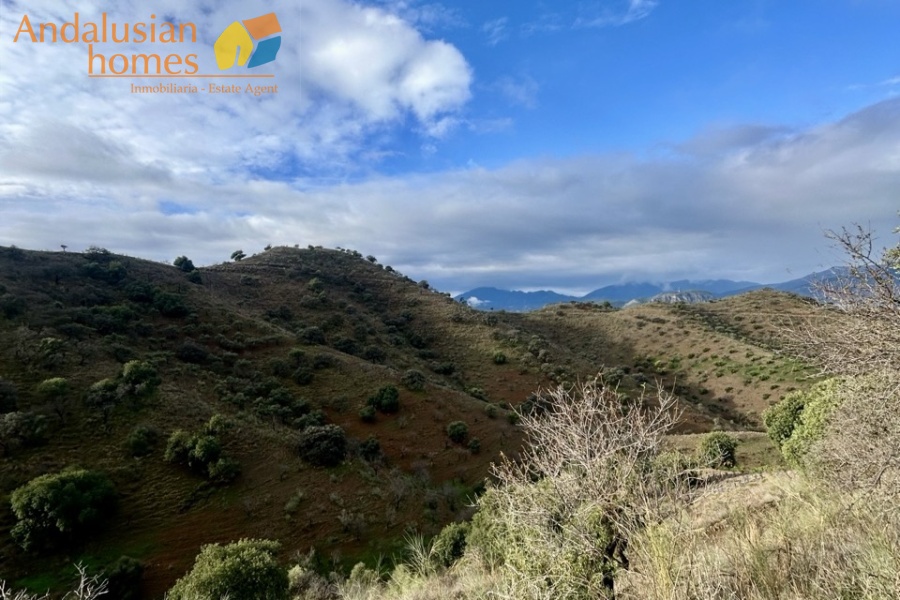 country home Álora, house for sale Álora, rural property Málaga, detached villa Spain, countryside villa Andalusia, house with pool Álora, panoramic views property Spain, finca for sale Málaga, large plot property Spain, real estate Álora, villa near train station Álora, Andalusian country house
