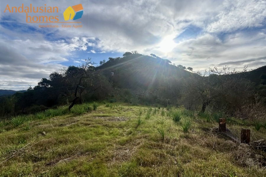 country home Álora, house for sale Álora, rural property Málaga, detached villa Spain, countryside villa Andalusia, house with pool Álora, panoramic views property Spain, finca for sale Málaga, large plot property Spain, real estate Álora, villa near train station Álora, Andalusian country house
