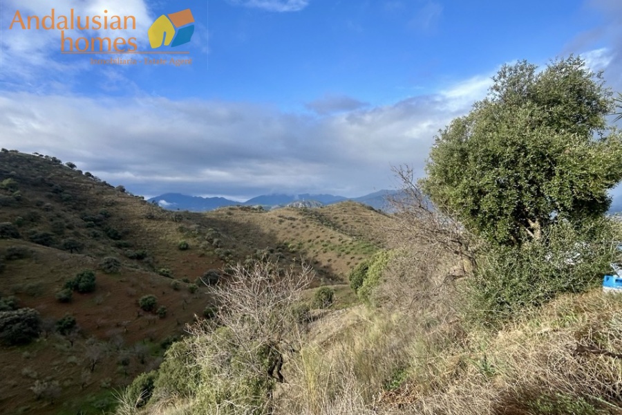 country home Álora, house for sale Álora, rural property Málaga, detached villa Spain, countryside villa Andalusia, house with pool Álora, panoramic views property Spain, finca for sale Málaga, large plot property Spain, real estate Álora, villa near train station Álora, Andalusian country house
